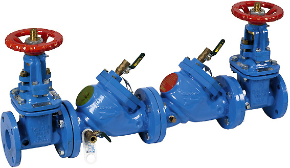 2 in. Double Check Valve Backflow Preventer